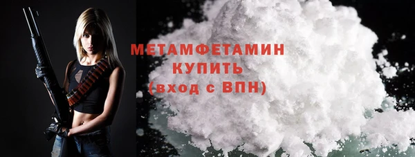 индика Дмитров