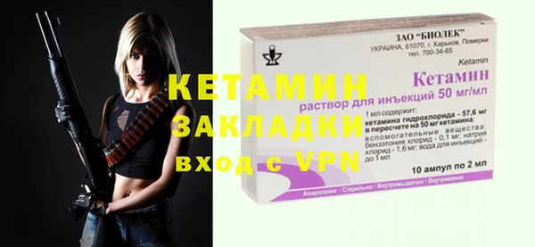 индика Дмитров