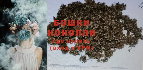 ПСИЛОЦИБИНОВЫЕ ГРИБЫ Дмитриев