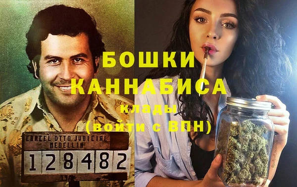 мяу мяу мука Гусь-Хрустальный