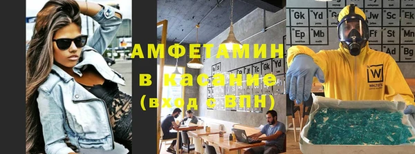 ПСИЛОЦИБИНОВЫЕ ГРИБЫ Дмитриев