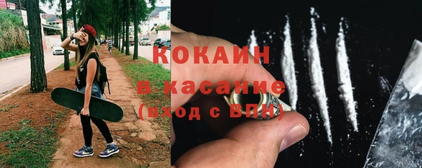 индика Дмитров