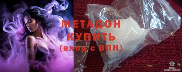 индика Дмитров