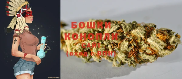spice Гусев