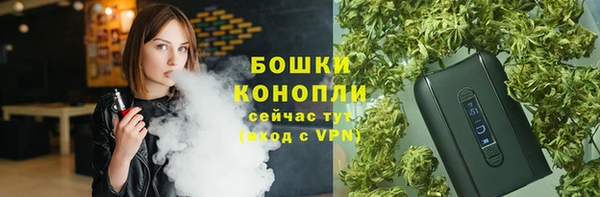 индика Дмитров