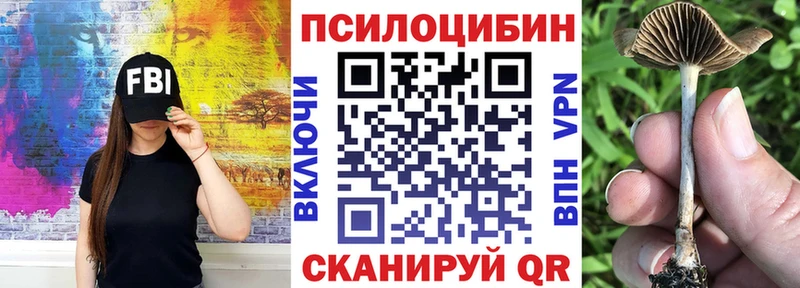 Псилоцибиновые грибы мицелий  Купить закладки  Искитим 