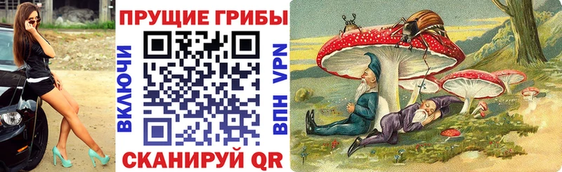 Галлюциногенные грибы мицелий Искитим